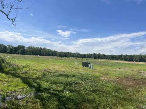 16035 Leni Dr, Prairieville, LA 70769