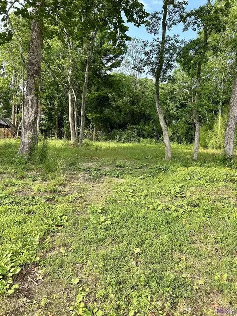 3223 Brightside Dr, Baton Rouge, LA 70820