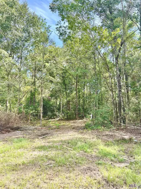 Sf-1 La Hwy 16, Denham Springs, LA 70706