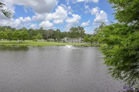34059 Spring Lake Dr, Walker, LA 70785 photo 40