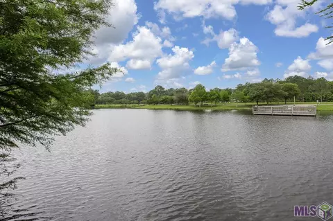 34059 Spring Lake Dr, Walker, LA 70785 photo 39
