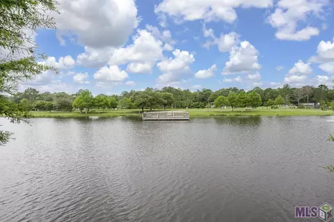 34059 Spring Lake Dr, Walker, LA 70785 photo 38