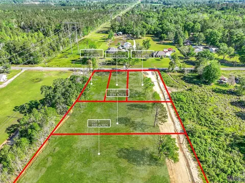12086 Sims Rd, Denham Springs, LA 70706