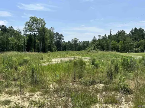 12738 Buddy Ellis Rd, Denham Springs, LA 70726