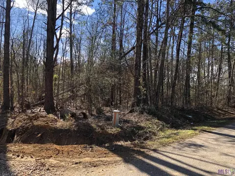 tbd Mcdaniel Rd, Amite, LA 70422 photo 4