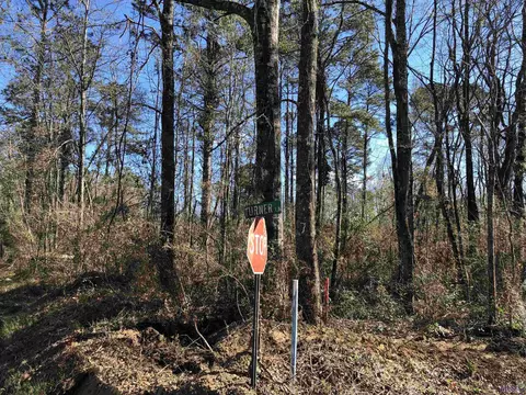 tbd Mcdaniel Rd, Amite, LA 70422 photo 2