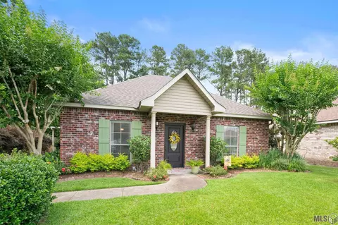 13607 Hope Haven Dr, Walker, LA 70785 photo 1