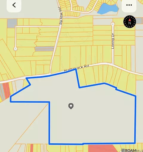 Sc-1-a & B Hammack Rd, Denham Springs, LA 70726
