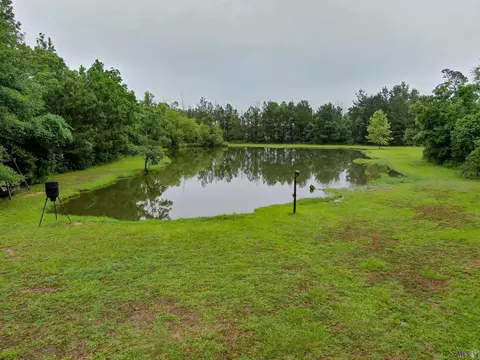 View/Area - 33050 Duff Rd, Walker, LA 70785 photo 2 of 2