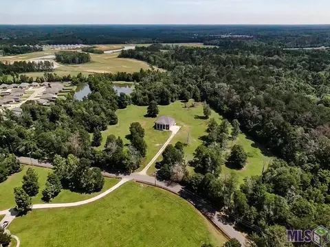 Other - 33050 Duff Rd, Walker, LA 70785 photo 10 of 10