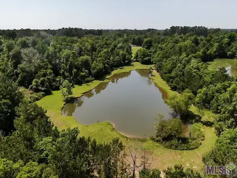 View/Area - 33050 Duff Rd, Walker, LA 70785 photo 1 of 2
