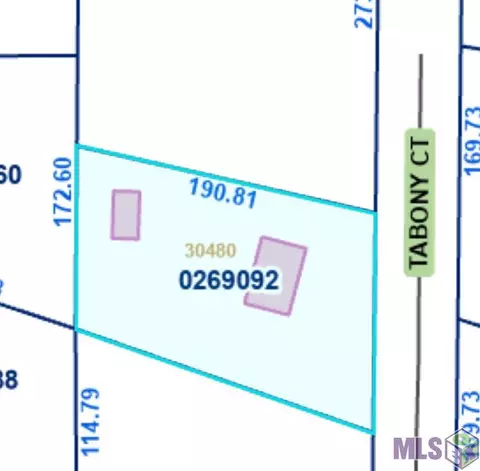 tbd Tabony Ct, Walker, LA 70785 photo 2
