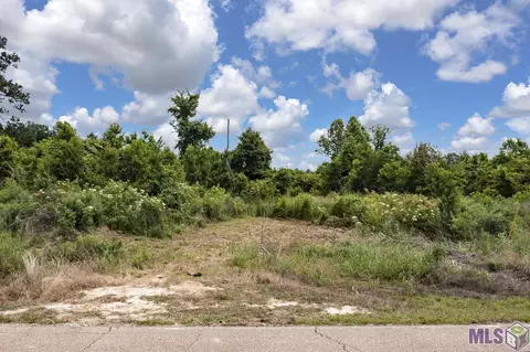 23060 Carson Rd, Pride, LA 70739 photo 5