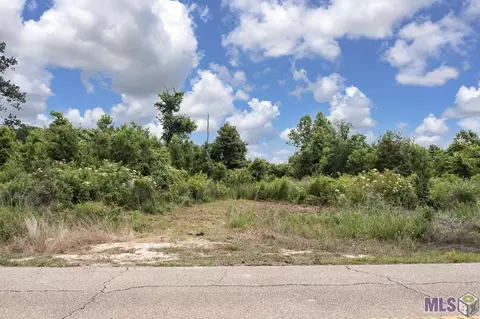 23060 Carson Rd, Pride, LA 70739 photo 6