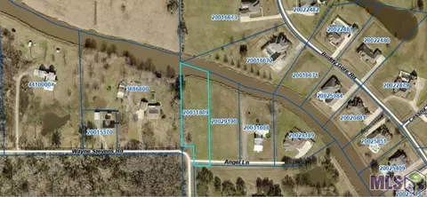 43306 Angel Ln, Gonzales, LA 70737