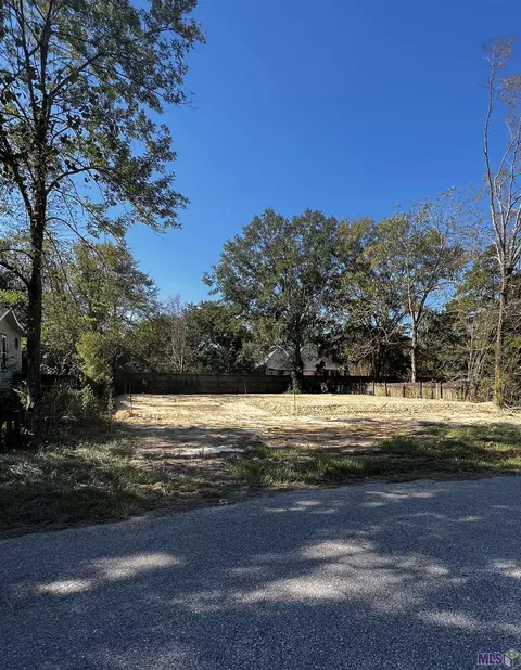 308 Carroll St, Denham Springs, LA 70726