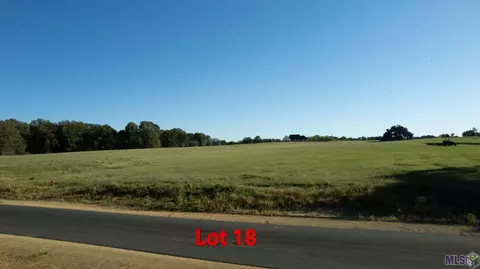 80110 Rosemary Ln, Saint Francisville, LA 70775