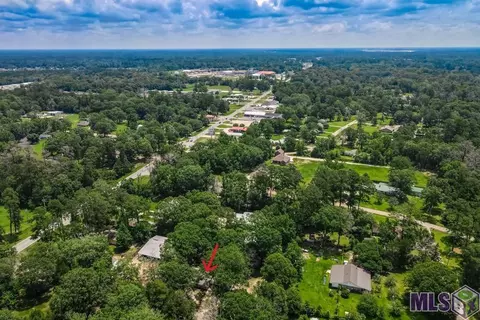 29838 Cedar Ln, Walker, LA 70785 photo 32