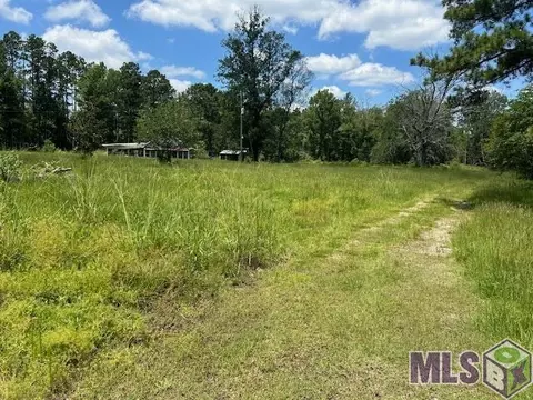 14775 Lewis Rd, Maurepas, LA 70449 photo 1