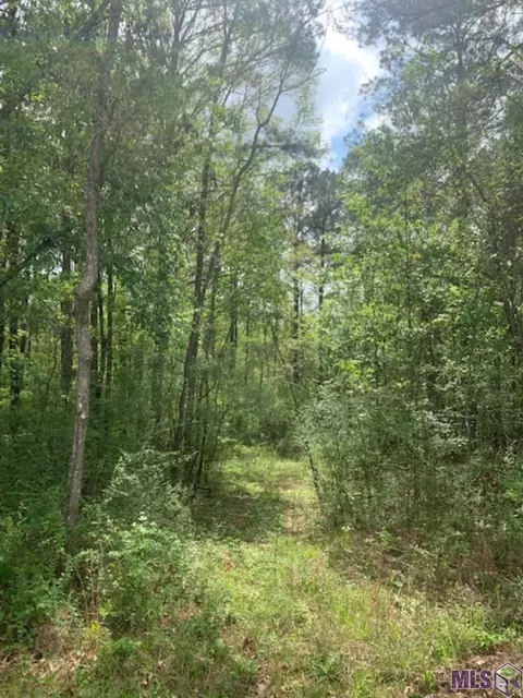 tbd Schwing Dr, Jackson, LA 70748 photo 10