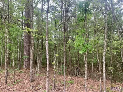 tbd Schwing Dr, Jackson, LA 70748 photo 6