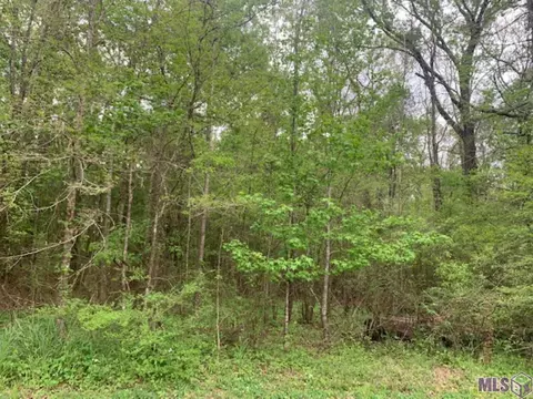 tbd Schwing Dr, Jackson, LA 70748 photo 3
