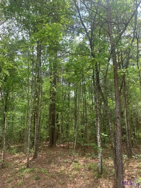 tbd Schwing Dr, Jackson, LA 70748 photo 7