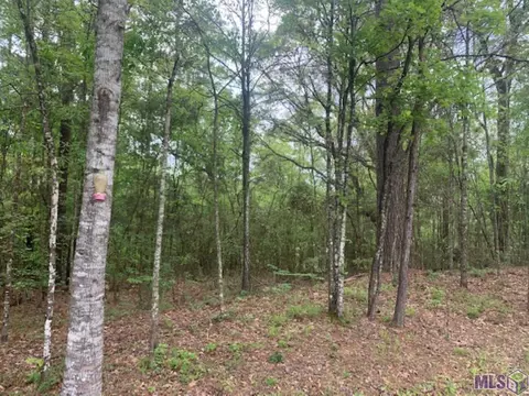 tbd Schwing Dr, Jackson, LA 70748 photo 9