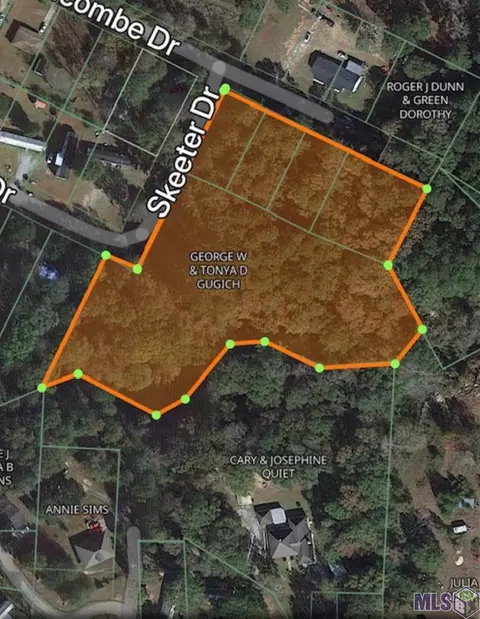 tbd Schwing Dr, Jackson, LA 70748 photo 4