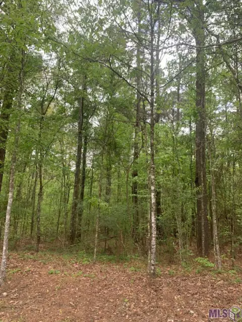 tbd Schwing Dr, Jackson, LA 70748 photo 8