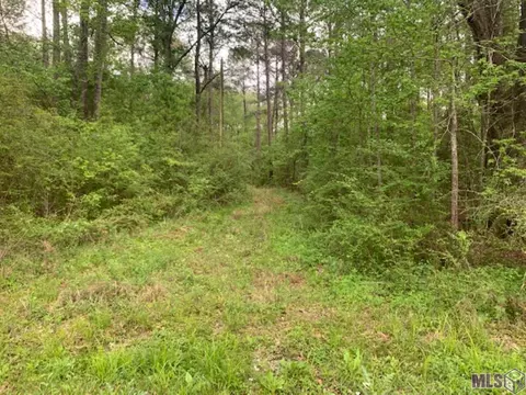 tbd Schwing Dr, Jackson, LA 70748 photo 2