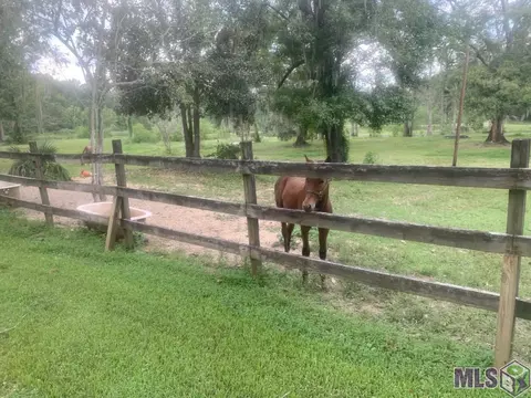 Other - 15151 Plank Rd, Baker, LA 70714 photo 16 of 24