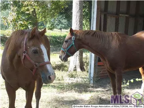 Other - 15151 Plank Rd, Baker, LA 70714 photo 9 of 24