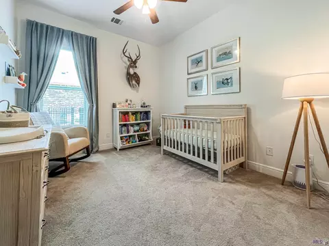 23342 Cypress Cv, Springfield, LA 70462 photo 10