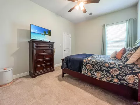23342 Cypress Cv, Springfield, LA 70462 photo 8