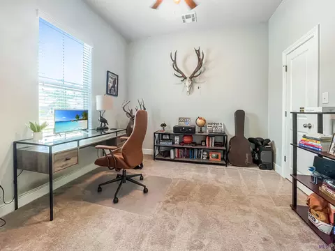 23342 Cypress Cv, Springfield, LA 70462 photo 9