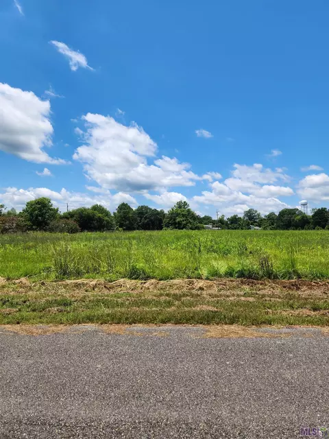 1 3-c-1 Deer Buck Run # -B, Rosedale, LA 70772