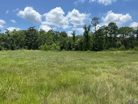 tbd Pintail St, Springfield, LA 70462