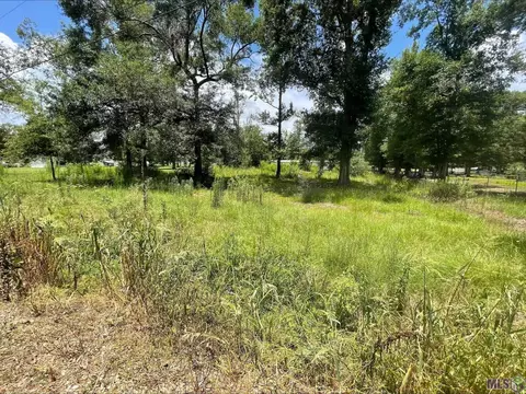 38730 Harvest Grove Ave, Walker, LA 70785 photo 5
