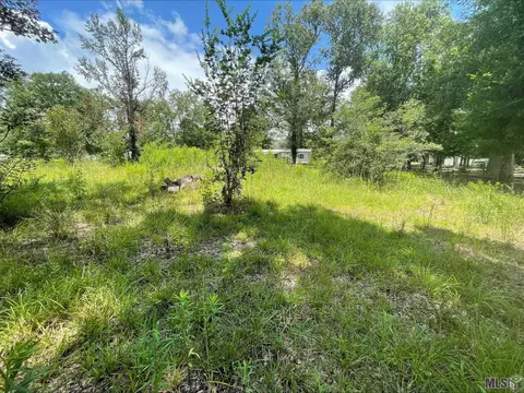38730 Harvest Grove Ave, Walker, LA 70785 photo 2