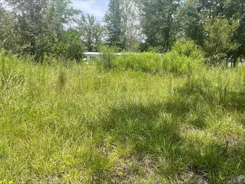 38730 Harvest Grove Ave, Walker, LA 70785 photo 3