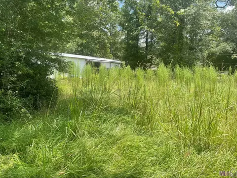 38730 Harvest Grove Ave, Walker, LA 70785 photo 4