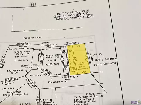 lot40 41-b Paradise Rd, Maurepas, LA 70449