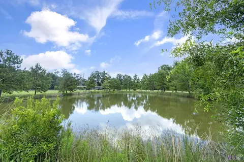 14929 Lewis Rd, Maurepas, LA 70449 photo 5