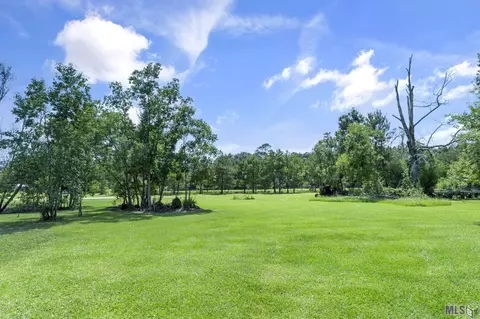 14929 Lewis Rd, Maurepas, LA 70449 photo 12