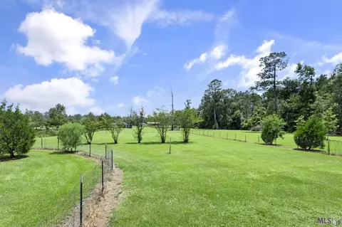 14929 Lewis Rd, Maurepas, LA 70449 photo 10