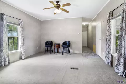 14929 Lewis Rd, Maurepas, LA 70449 photo 6
