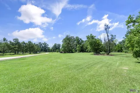 14929 Lewis Rd, Maurepas, LA 70449 photo 13