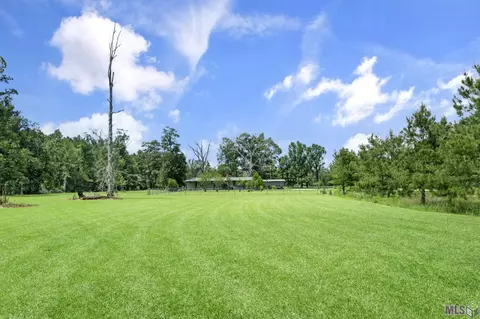 14929 Lewis Rd, Maurepas, LA 70449 photo 3