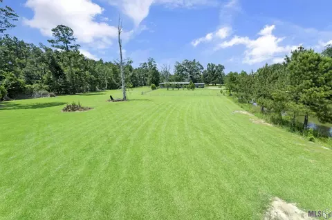 14929 Lewis Rd, Maurepas, LA 70449 photo 4
